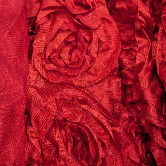 Valentines Toddler girl Red Rose Richie House 18m Dress - Picture 3 of 5